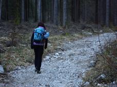 Klik za večjo sliko